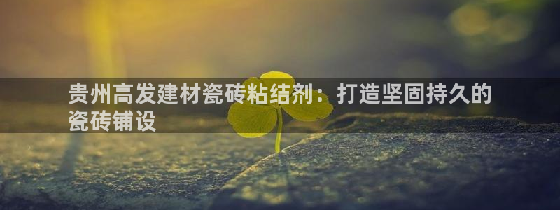 杏鑫平台登录地址是什么