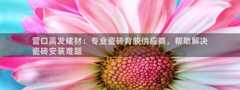 杏鑫娱乐开发团队