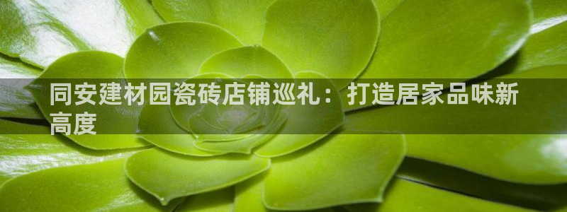 杏鑫手机客户端
