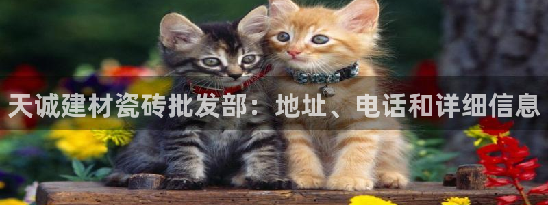 杏鑫平台注册网址查询