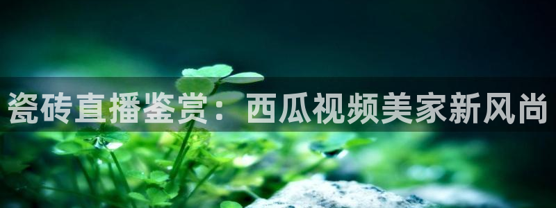 杏鑫娱乐平台测速