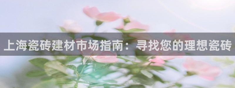 杏鑫平台招商电话是多少