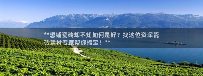 杏鑫注册登录平台是什么