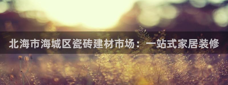 杏鑫登录注册