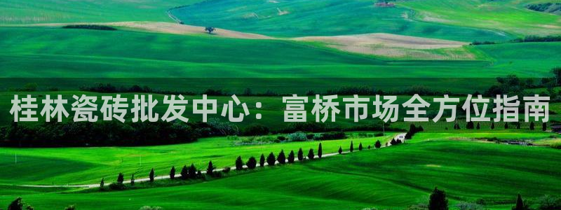 杏鑫招商总代