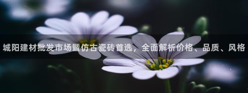 杏鑫平台招商怎么样可靠吗