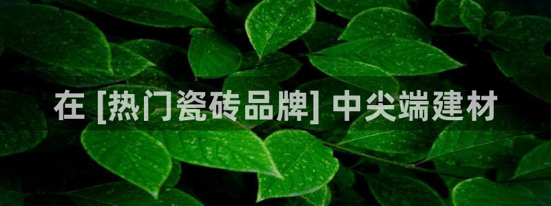 杏鑫平台招商怎么样可靠吗