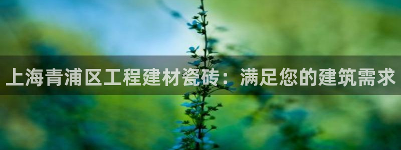 杏鑫娱乐怎么下